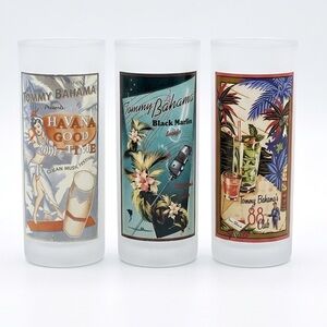Tommy Bahama Frosted Tropical-Themed Highball Glasses Set of 3